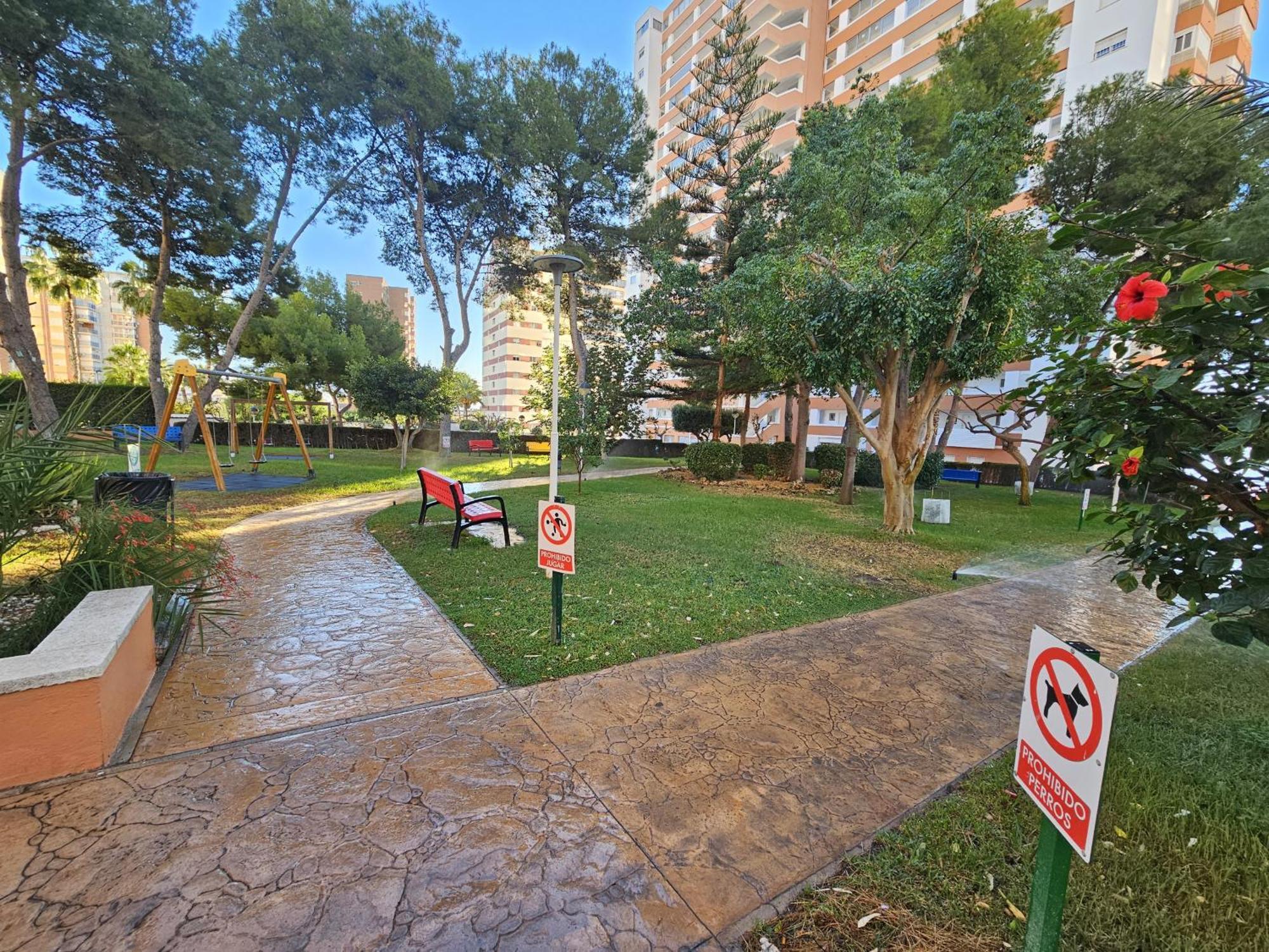 Apartamento Provima B 16 If Benidorm Exteriör bild